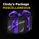 CindyPackage.png