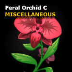 FeralOrchidC.png