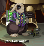 Mrcottontail.png