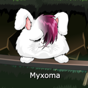 Myxoma.png